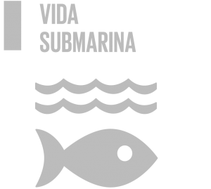 vida submarina