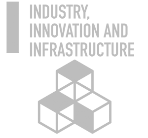 industria, innovación e insfraestructura