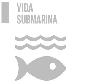 vida submarina