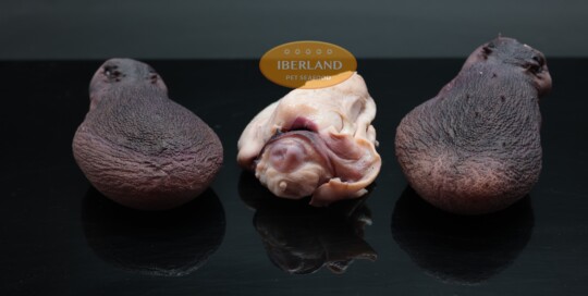 Cabezas de Pulpo
