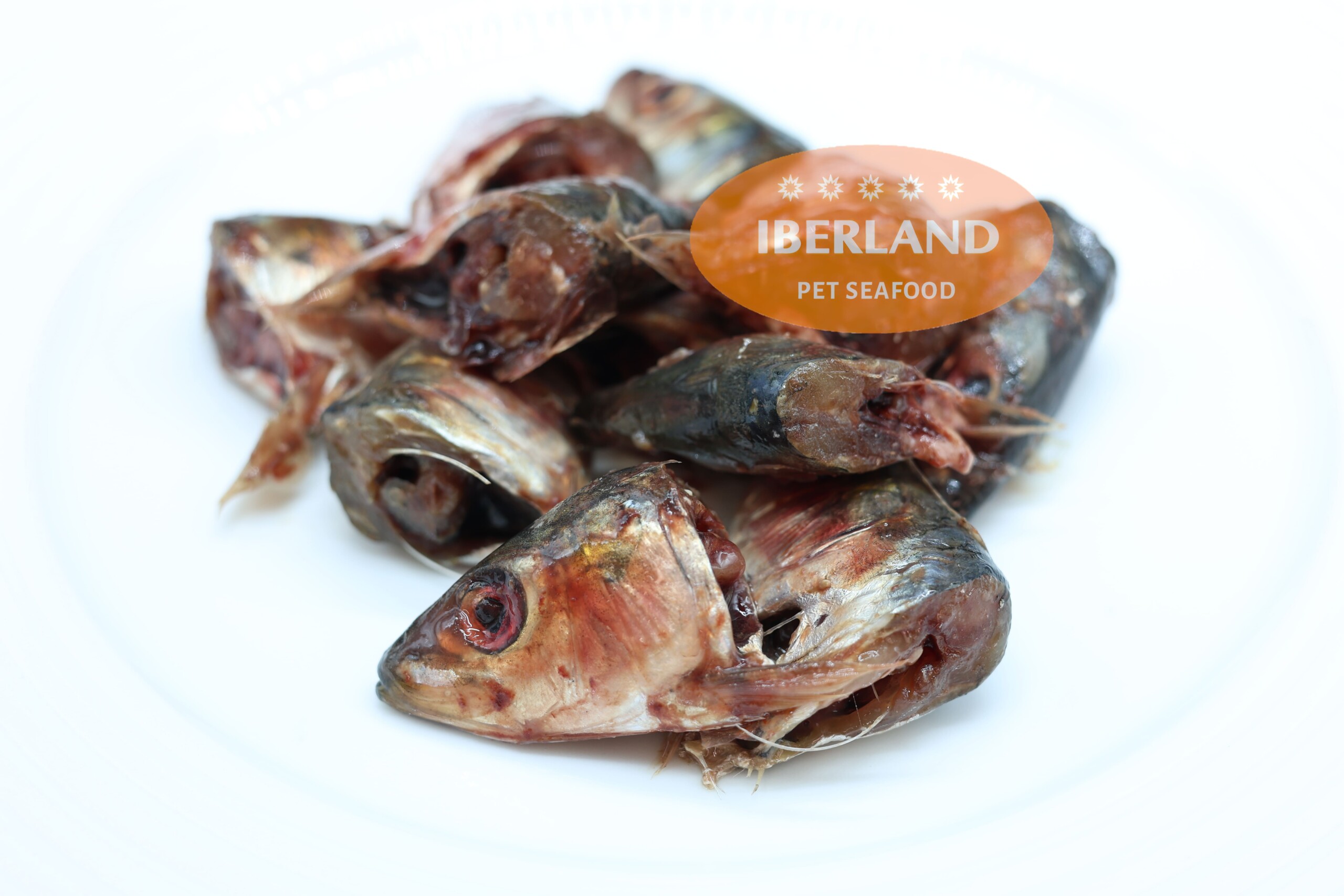 Cabezas y Espinas de Sardina