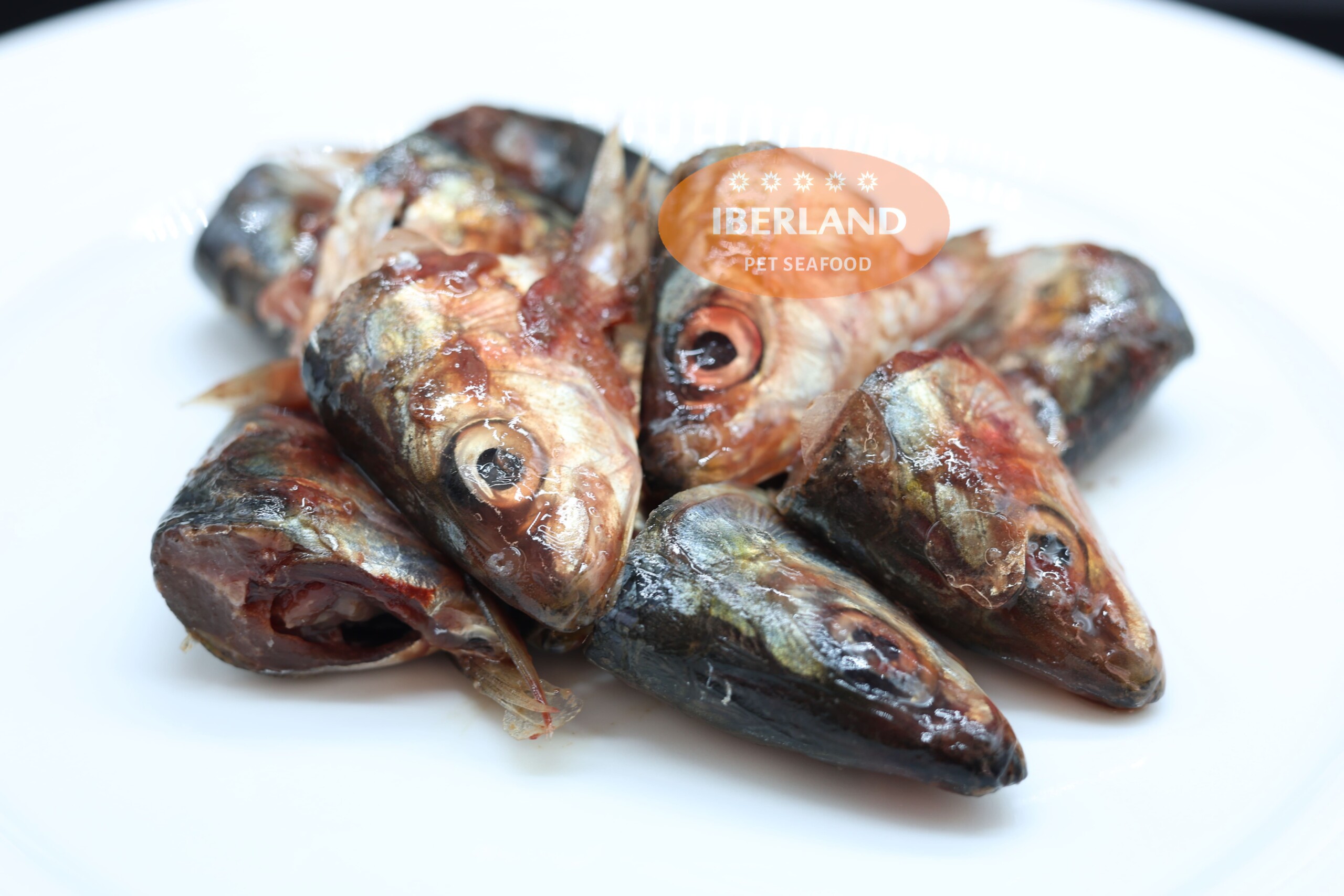 Cabezas y Espinas de Sardina