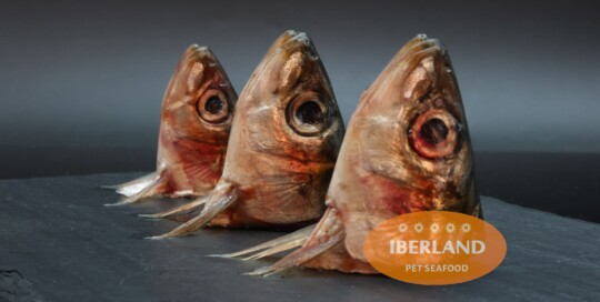 Cabezas y Espinas de Sardina