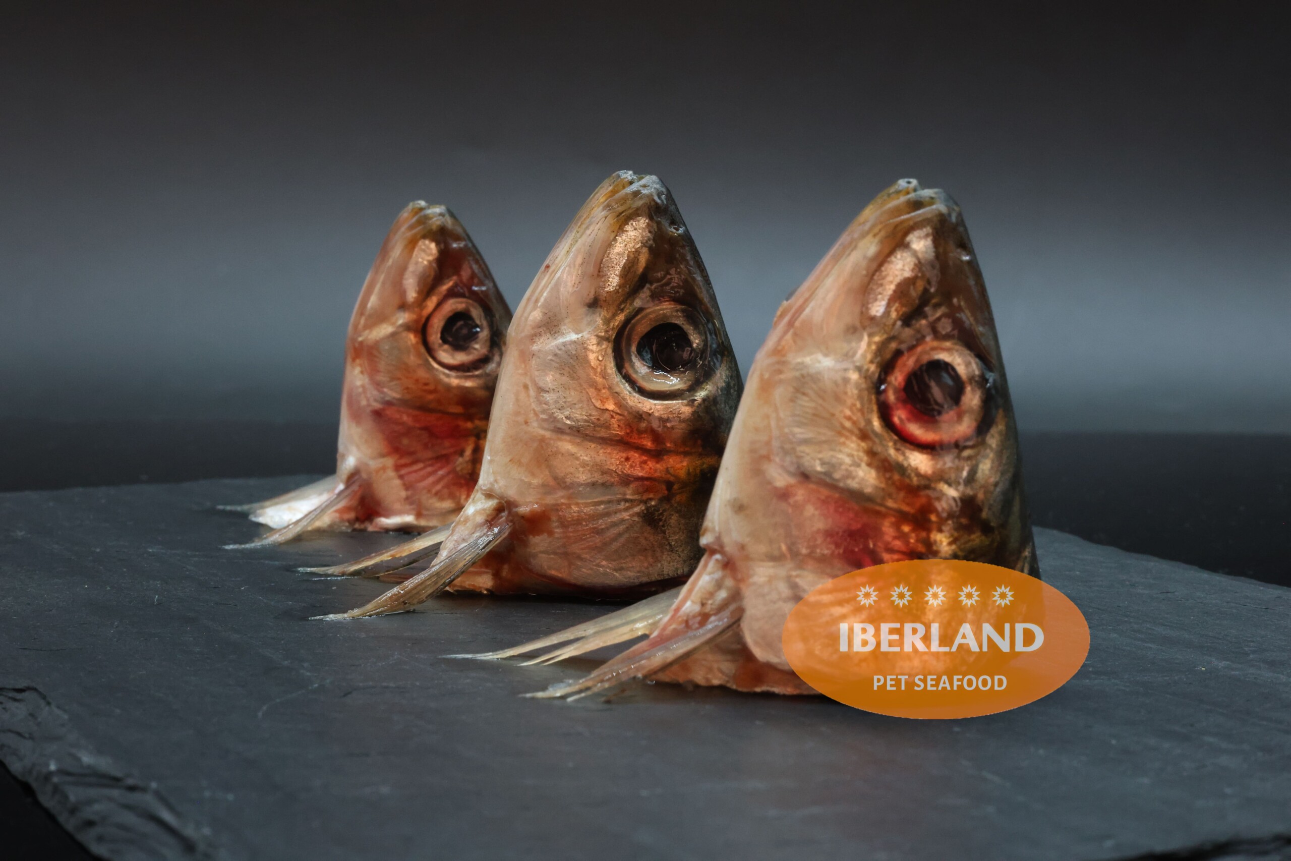 Cabezas y Espinas de Sardina