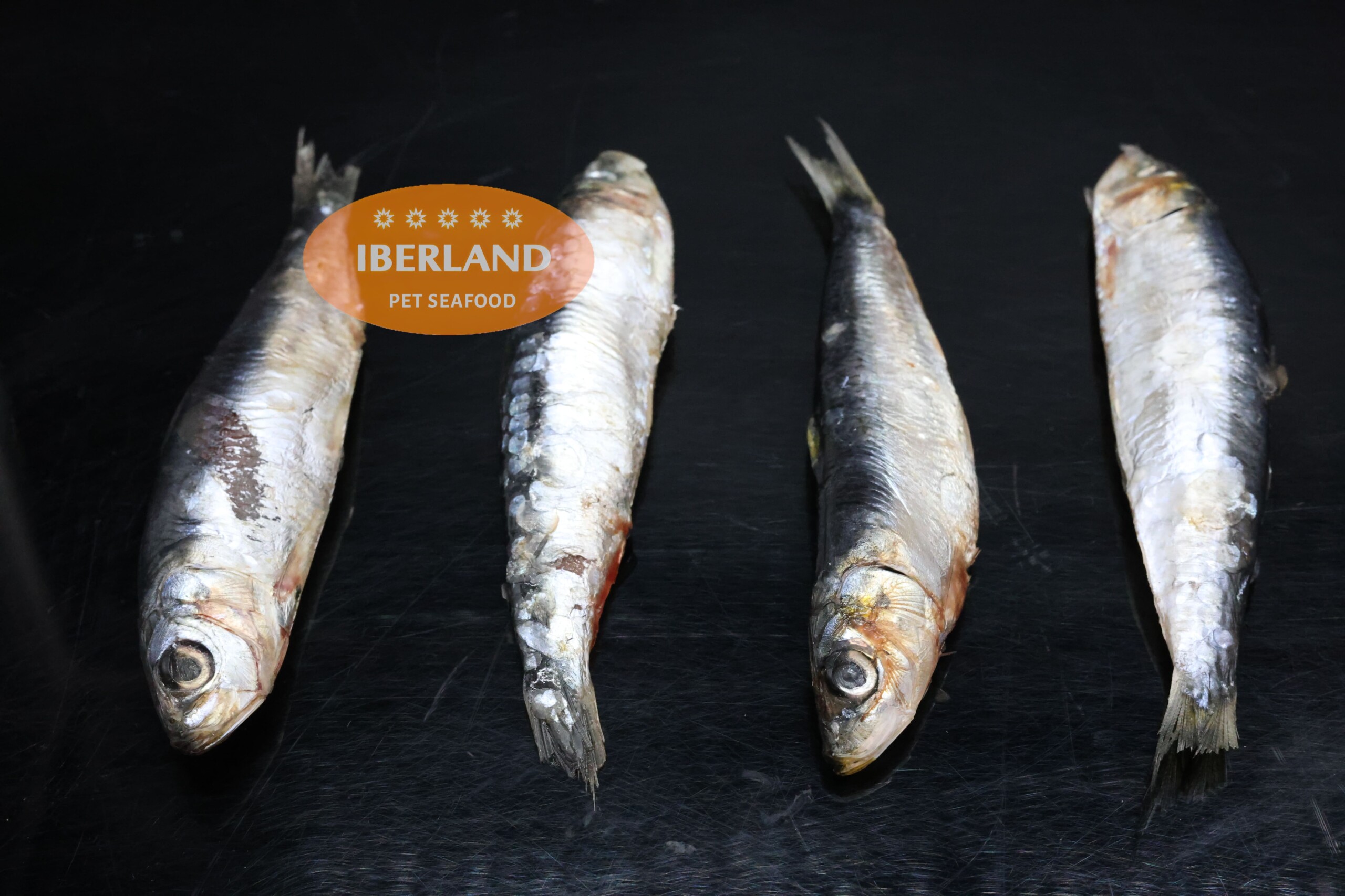 Sardina Entera